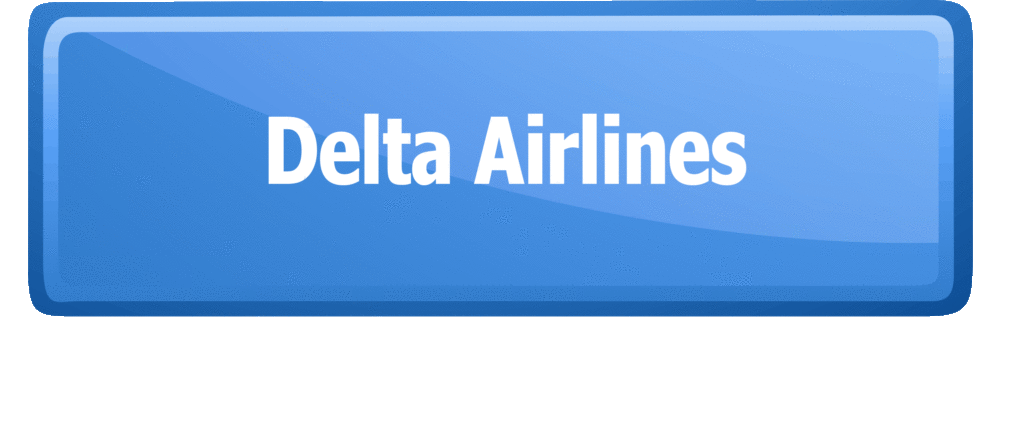 Delta Airlines tracking portal